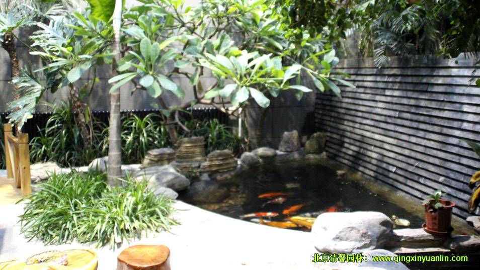 室內綠化