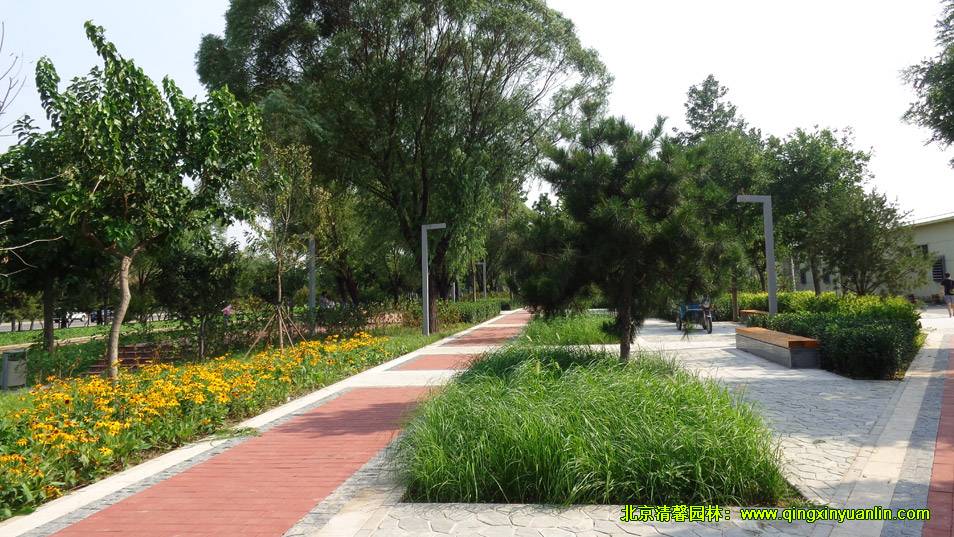 四環路