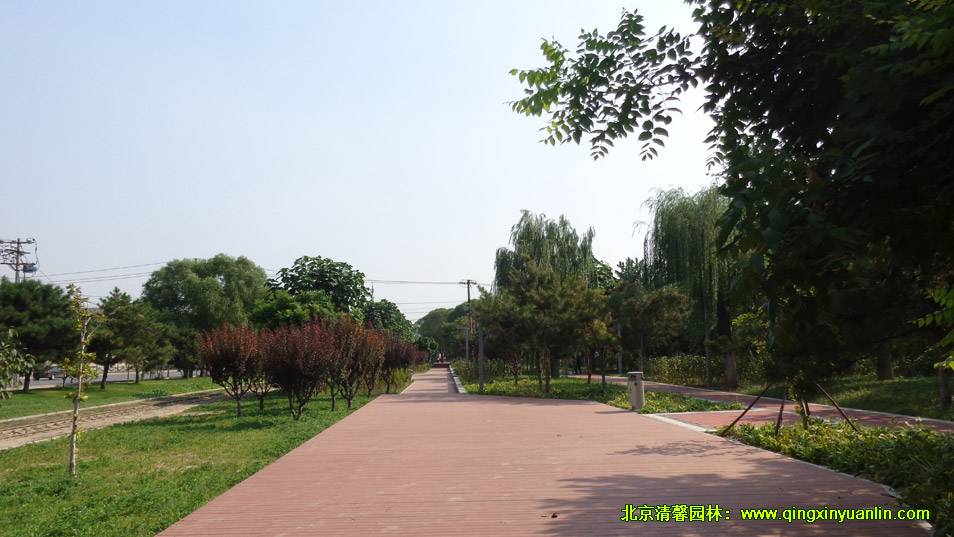 四環路