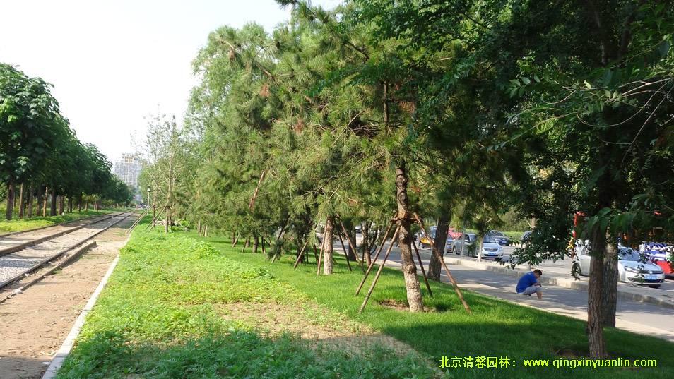 四環路