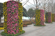  園林講堂：垂直綠化植物該如何養護