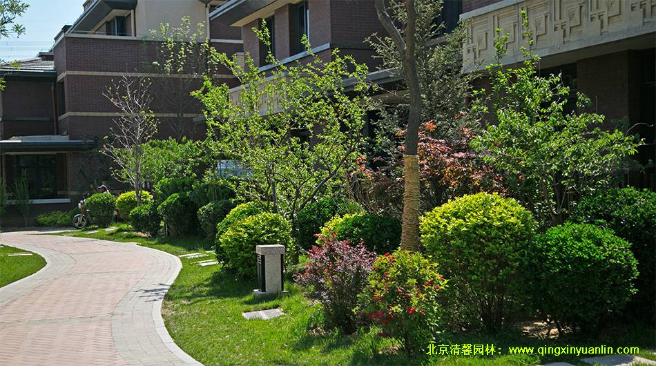 燕西華府項目 園林景觀工程