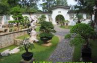 第34屆世界藝術史大會園林和庭院論壇在北京林業大學開幕