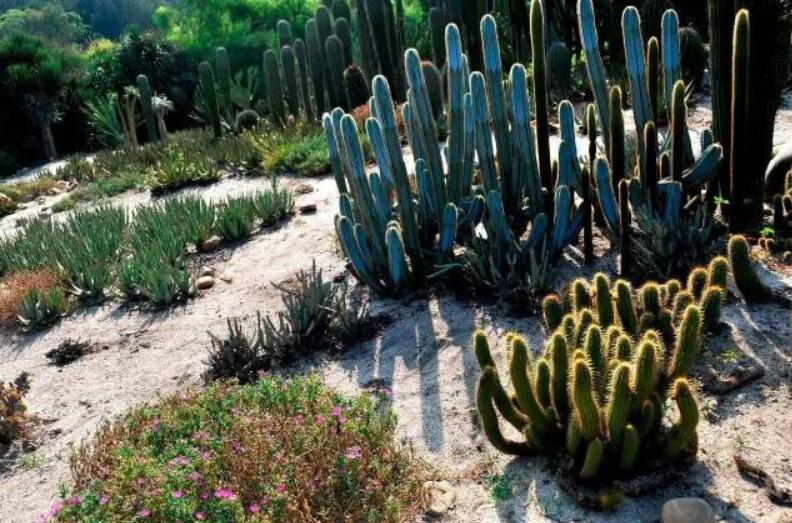 園林經典之作 廈門萬石植物園