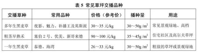 草坪全年度養護計劃