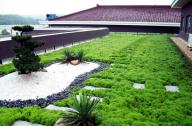 城市屋頂花園建設中植物應用