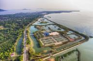 杵山生態公園：長三角地區最專業的垂釣樂園