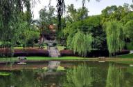城市公園植物設計原則