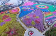 花卉種植園變身風車海洋 風車展將持續到四月底