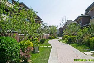 四大園林景觀新趨勢(shì)即將影響苗木市場(chǎng)格局
